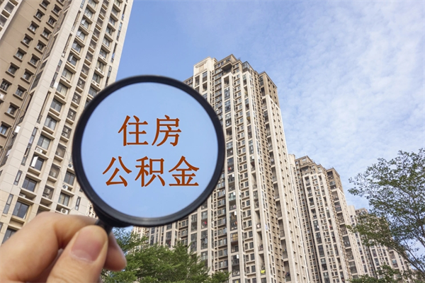 慈利济南公积金提取公司（慈利济南提取住房公积金）